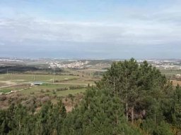 2019-02-09  COMANDOS